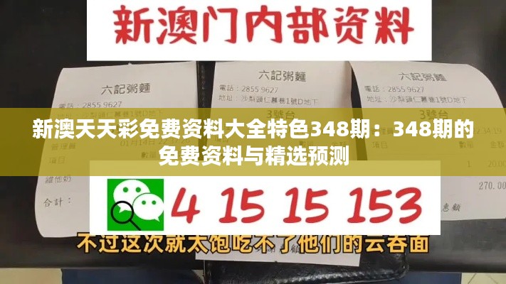 新澳天天彩免费资料大全特色348期：348期的免费资料与精选预测