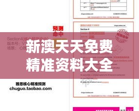 新澳天天免费精准资料大全348期：资源宝库，为您的决策提供详实依据