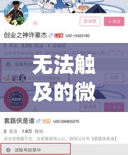 揭秘往年12月13日微博账号背后的神秘故事，无法触及的账号探索