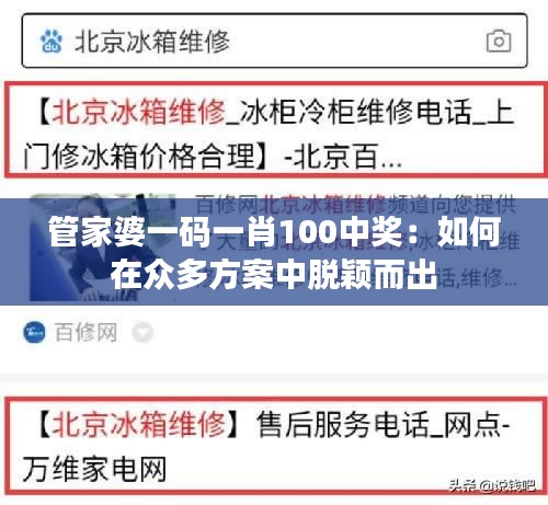 管家婆一码一肖100中奖：如何在众多方案中脱颖而出