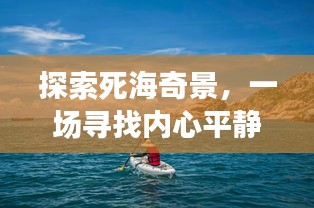 探索死海奇景，十二月直播之旅，寻找内心宁静的旅程