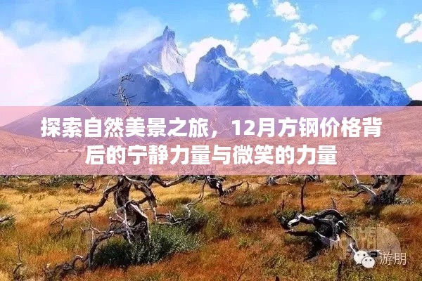 自然美景探索之旅，宁静的12月方钢价格背后的微笑力量