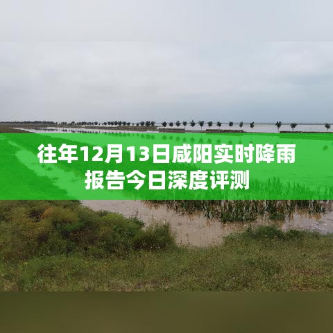 咸阳实时降雨报告深度解析，历年12月13日降雨情况分析