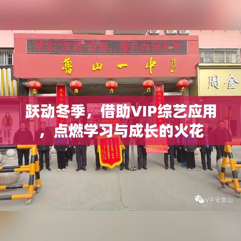 跃动冬季，VIP综艺应用助力学习与成长激情点燃