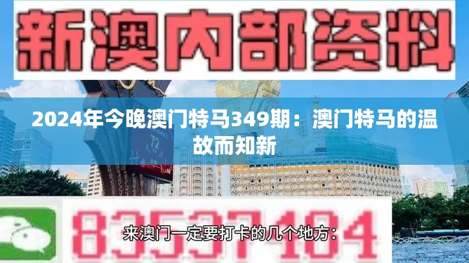 2024年今晚澳门特马349期：澳门特马的温故而知新