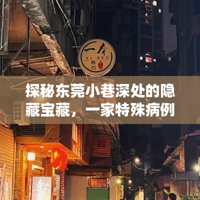 探秘东莞小巷深处的温馨小店，特殊病例下的隐藏宝藏