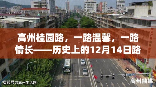 高州桂园路的历史路况回忆，一路温馨，情长难忘——12月14日回忆