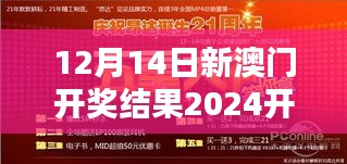 12月14日新澳门开奖结果2024开奖记录：数字的秘密与惊喜