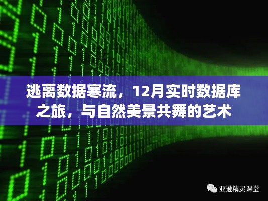 2024年12月14日 第7页