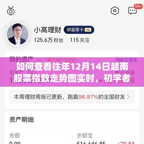 实用指南，查看历年12月14日越南股票指数走势图，初学者与进阶用户操作指南