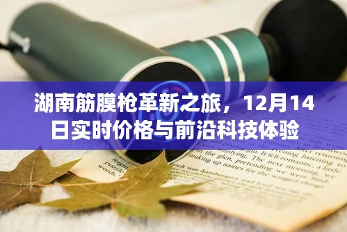 湖南筋膜枪革新之旅，实时价格与前沿科技体验（12月14日）