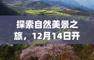 12月14日启程，探索自然美景，实时监控下的心灵之旅寻找宁静与平和