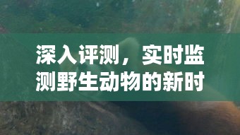 未来野生动物监测技术趋势分析，预测未来十年（以2024年为例）的深入评测利器揭秘与趋势展望