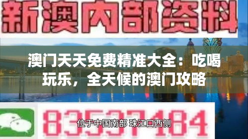 澳门天天免费精准大全：吃喝玩乐，全天候的澳门攻略