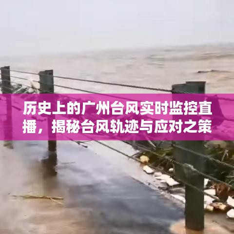 广州台风轨迹揭秘，历史实时监控直播与应对策略探讨