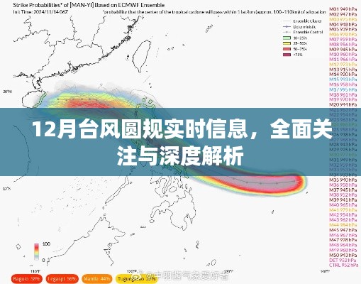 台风圆规最新动态，全面关注与深度解析的实时信息（12月）