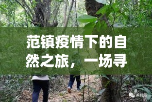 范镇疫情下的自然之旅，内心平静的奇妙探险之旅