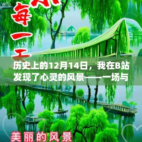 B站心灵之旅，与自然美景的奇妙历史邂逅（12月14日）