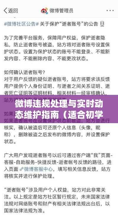 微博违规处理与实时动态维护指南，初学者与进阶用户的实用指南