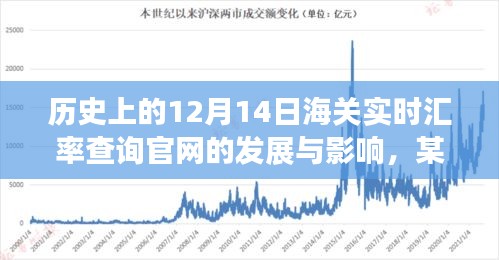 历史上的海关实时汇率查询官网的发展与影响，某某观点深度解析