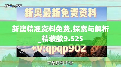 新澳精准资料免费,探索与解析_精装款9.525