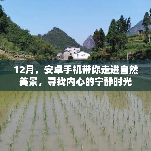 12月安卓手机带你探索自然美景，寻觅心灵宁静时光