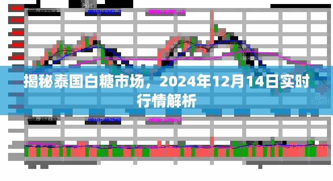 泰国白糖市场实时行情解析，揭秘市场趋势与未来展望（2024年12月14日）