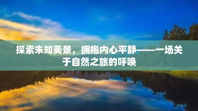 2024年12月17日 第13页