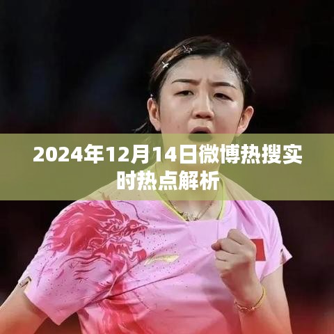 2024年微博热搜实时热点解析