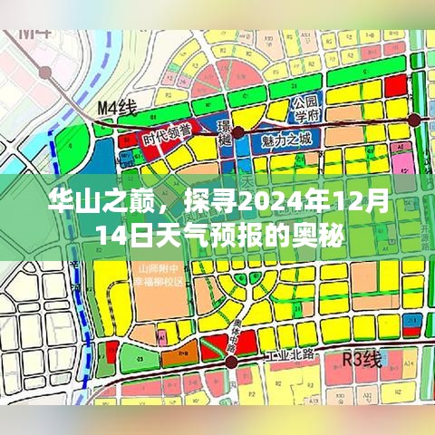 华山之巅，揭秘2024年12月14日天气预报之谜