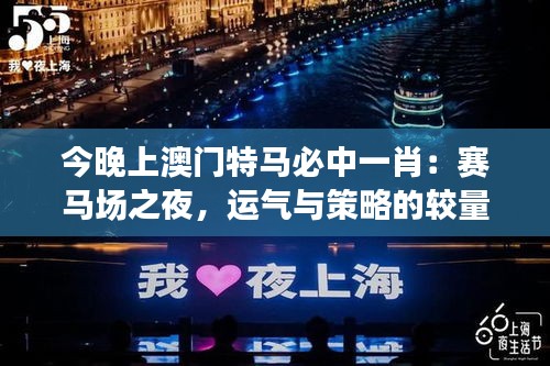 今晚上澳门特马必中一肖：赛马场之夜，运气与策略的较量