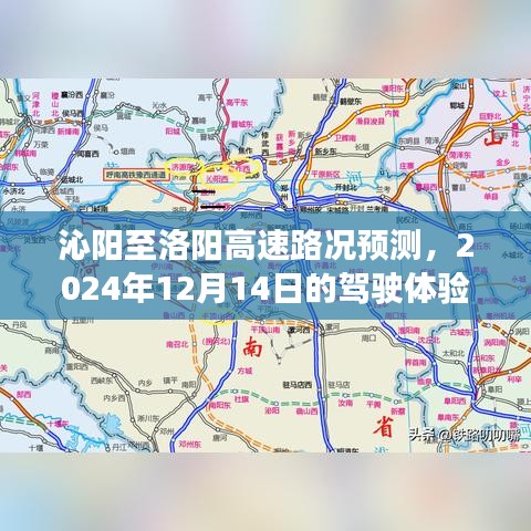 2024年12月17日 第7页