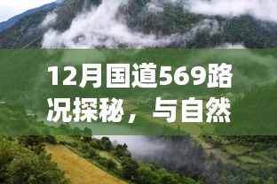 12月国道569路况探秘，与自然共舞的心灵宁静之旅