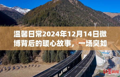 温馨日常背后的暖心故事，微博魔法时刻的惊喜与陪伴 2024年12月14日