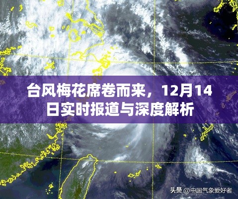 台风梅花席卷来袭，12月14日实时报道与深度解读