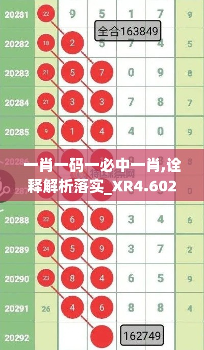 一肖一码一必中一肖,诠释解析落实_XR4.602