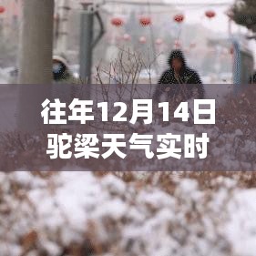 往年12月14日驼梁天气预报详解及查询准备指南