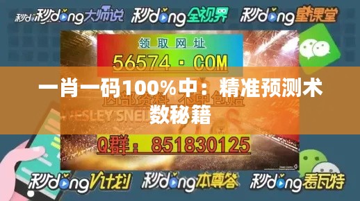 一肖一码100%中：精准预测术数秘籍