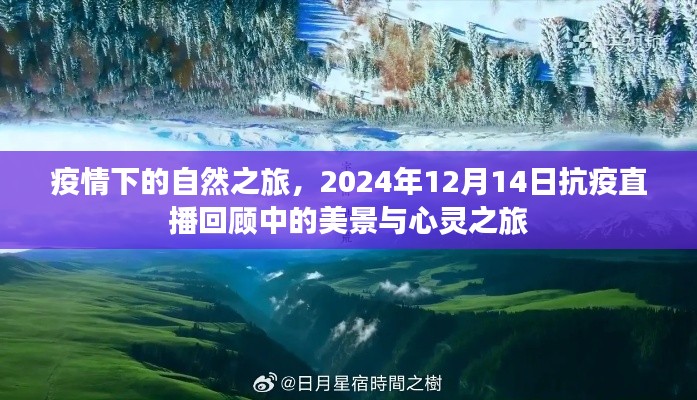 疫情下的自然之旅，美景与心灵之旅的抗疫直播回顾（2024年12月14日）