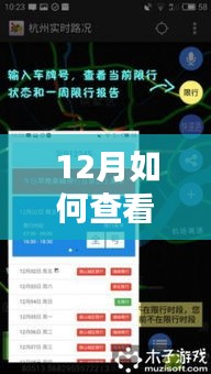 初学者与进阶用户指南，如何查看车辆实时定位信息（12月版）