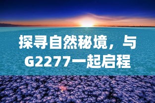 G2277带你探寻自然秘境，宁静的十二月启程之旅