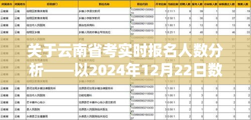 云南省考实时报名人数分析，2024年数据深度解读