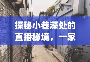 探秘胡同小巷的直播秘境，冬日特色小店的温暖绽放