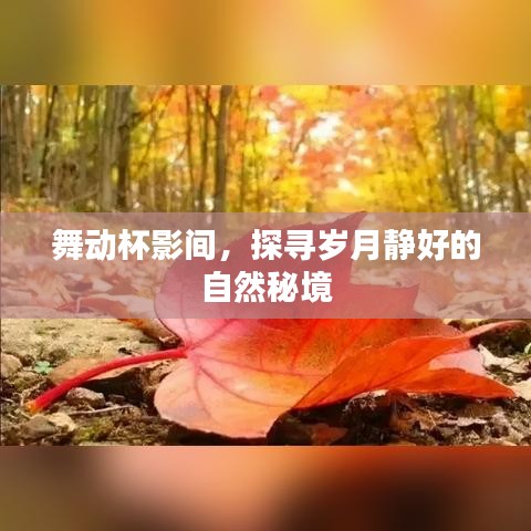 舞动杯影间探寻岁月静好的自然秘境之旅