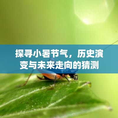 小暑节气，历史演变与未来走向的探寻与猜测