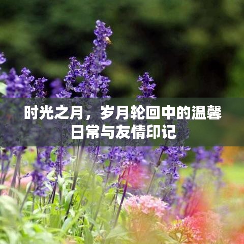 岁月轮回下的时光之月，温馨日常与友情印记