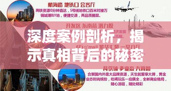 深度案例剖析，揭示真相背后的秘密面纱