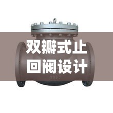 双瓣式止回阀设计要点解析，权威规范引领行业新标准