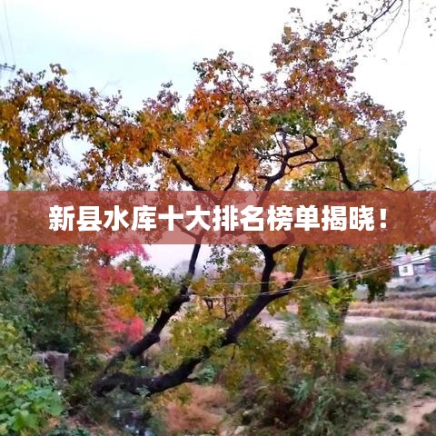 新县水库十大排名榜单揭晓！