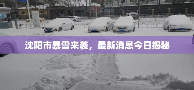 沈阳市暴雪来袭，最新消息今日揭秘